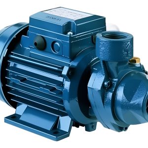 Electro Bomba Periférica Centrifuga Ebara Pra 1 Hp Trifásica