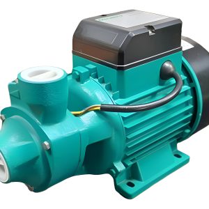 Bomba Agua Periférica Czerweny Qb70 3/4 Hp Monofásica Usada