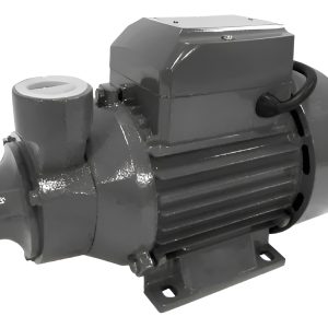 Bomba Periférica Kushiro 1/2 Hp Domiciliaria - P.p - Bp 60c