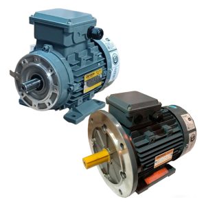 Motor Trifasico Czerweny 0,33 Hp 1000 Rpm Blindado Con Brida