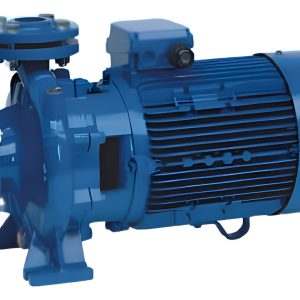 Bomba Centrífuga Speroni Caudal Cs 50-250 C -trifásica 20 Hp