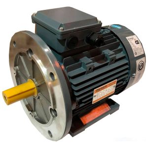 Motor Trifásico Czerweny 15 Hp 1500 Rpm Con Brida Grande B35