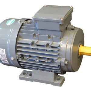 Motor Eléctrico Trifàsico Czerweny 1 Hp 3000 Rpm Blindado