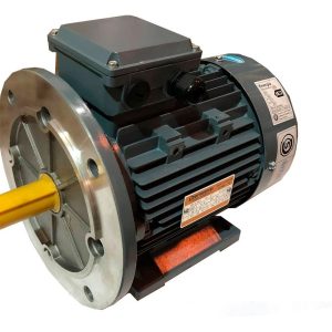 Motor Eléctrico Trifàsico Czerweny 2 Hp 3000 Rpm Con Brida