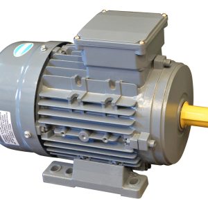 Motor Trifasico Czerweny 7,5 Hp 3000 Rpm Blindado
