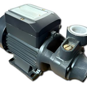 Bomba Periférica Kushiro 1/2 Hp Domiciliaria P.p Bp60c Usada