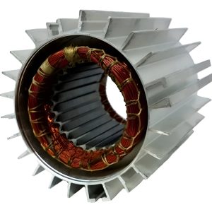 Estator Bobinado De Bomba Centrífuga Czerweny 1/2 Hp Zeta 1m