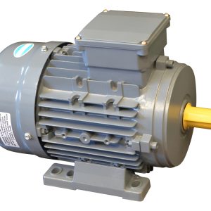 Motor Eléctrico Trifásico Czerweny 15 Hp 3000 Rpm Blindado