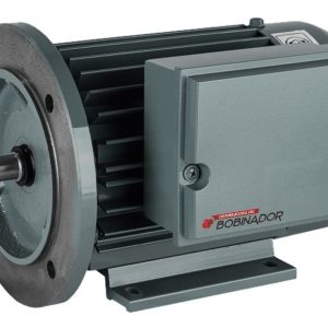Motor Monofásico Czerweny 0.75 Hp 3000 Rpm Bajo Par C/ Brida