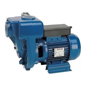 Bomba Autocebante Pileta Natacion Speroni Hgm2 - 2 Hp 220v