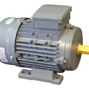 Motor Eléctrico Trifásico Czerweny 60 Hp 1500 Rpm 380v B3