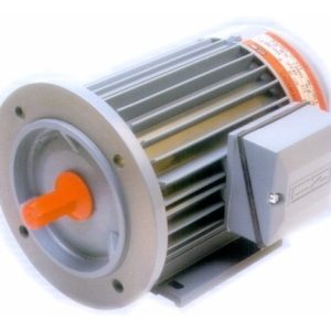 Motor Trifasico Czerweny 3 Hp 1500 Rpm Blindado Con Brida