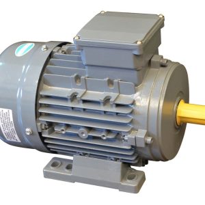 Motor Electrico Trifasico Czerweny 60 Hp 1000 Rpm Blindado