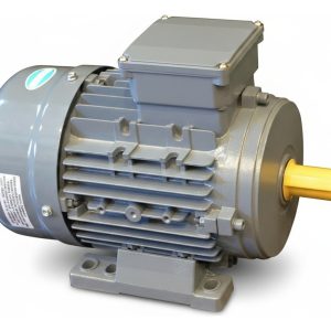 Motor Electrico Trifasico Czerweny 3 Hp 3000 Rpm Blindado B3