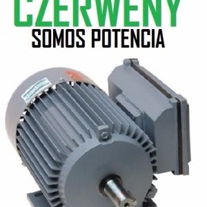 Diferencia Motor Monofásico Czerweny 1,5 Hp 3000rpm Alto Par
