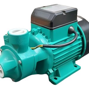 Electrobomba Periférica Qb-70l1 0.75 Hp Antibloqueo Czerweny