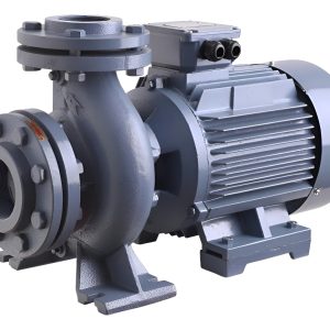 Bomba Centrifuga Monoblock Cz 15 Hp 380v Cm 65-160b