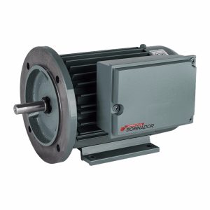 Motor Monofásico Blindado Czerweny 1 Hp 1500 Rpm A Par Brida