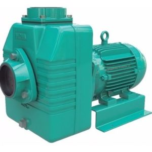 Bomba Centrifuga Wdm Trifásica 2 Hp Impulsor Abierto Caudal