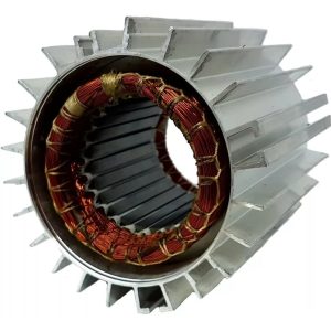 Estator Bobinado De Bomba Centrífuga Czerweny 1/4 Hp Zeta 0