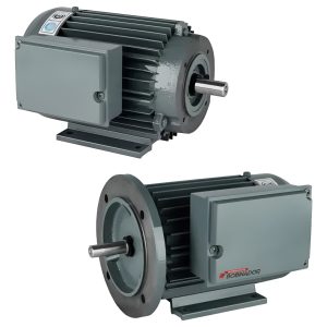 Motor Monofasico Czerweny Bajo Par 1.5 Hp 3000 Rpm Brida