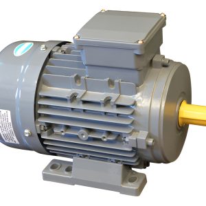 Motor Electrico Trifasico Czerweny 7,5 Hp 3000 Rpm Blindado