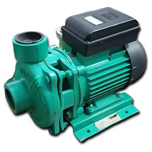Bomba Centrífuga Ec 210 De Caudal Agua Monofásica 1 Hp Wdm