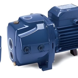 Bomba Centrífuga Monofasica 1 Hp Foras Aspiracion Eleva Agua