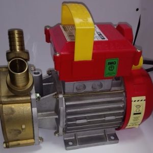 Bomba Centrífuga 0,6 Hp Rover Pompe Trasvase Vino Y Cerveza